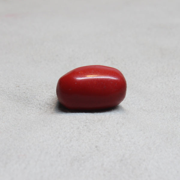 NATURAL & ORIGINAL RED CORAL 11.00-CARATS (S0280-A19)