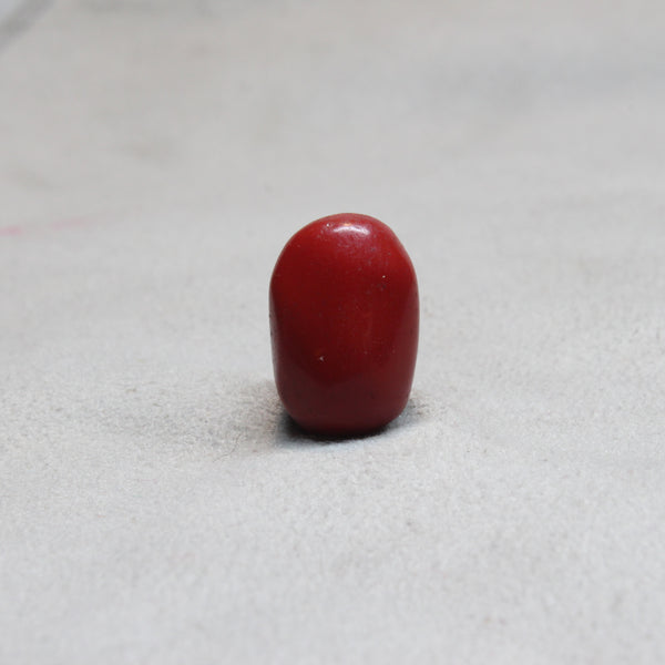 NATURAL & ORIGINAL RED CORAL 11.00-CARATS (S0280-A19)