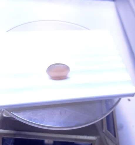 MOON STONE 6.70-CARATS (S0169-A13)