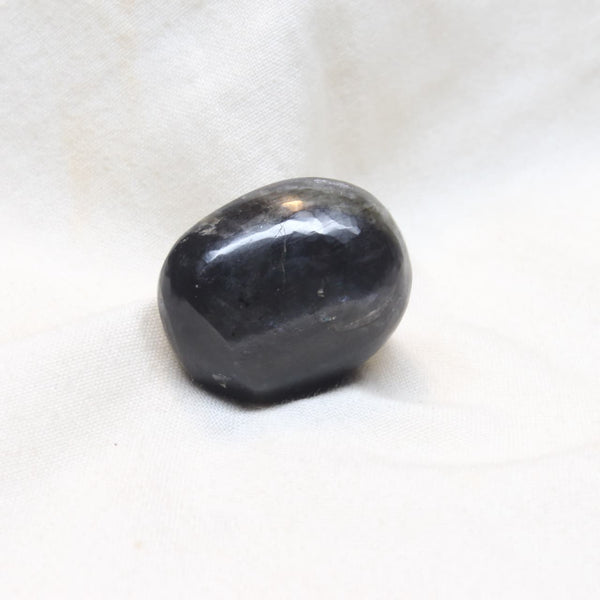 LABRODARITE 24.7-CARATS (S0155-A12)