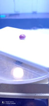 RUBY 2.60-CARATS (S0251-A17)