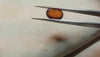 Hessonite garnet (GOMED - S0004-A1 ) - 6.30 Caratsnatural & authentic