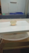 MOON STONE 16.50-CARATS (S0162-A13) NATURAL /ORIGINAL
